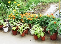 直方リハビリセンター